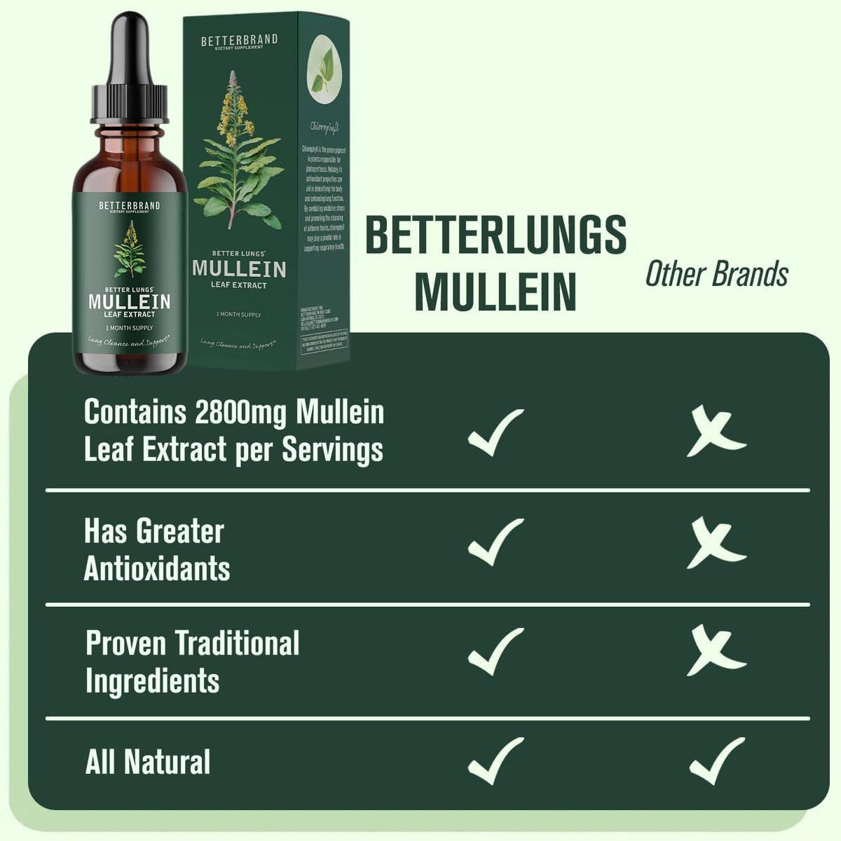 BetterLungs Königskerzenblätter- & Chlorophyll-Extrakt-Tropfen zur Lungenentgiftung, Nahrungsergänzungsmittel