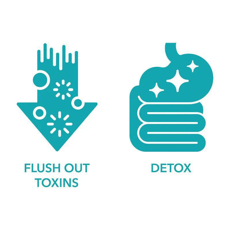 15-Tage-Reinigung – Unterstützung für Darm und Dickdarm | Fortschrittliche Formel mit Ballaststoffen | Hergestellt in den USA