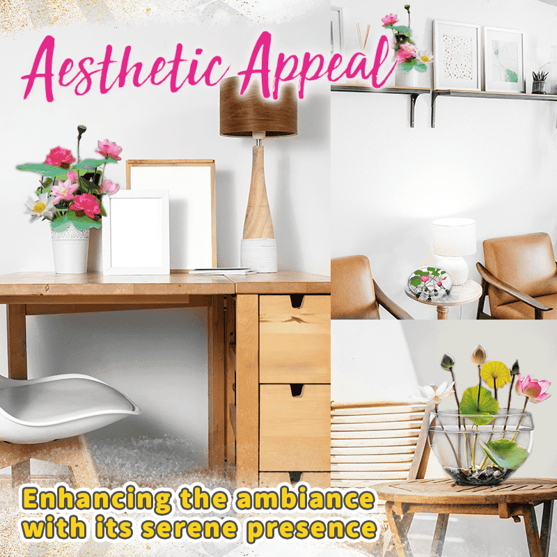 Dekorative Lotusblütensamen